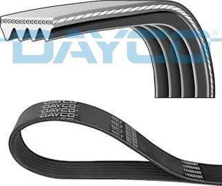 Multireim DAYCO 4PK1008HD