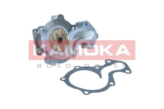 Vannpumpe KAMOKA T0290 Vannpumpe KAMOKA T0290
