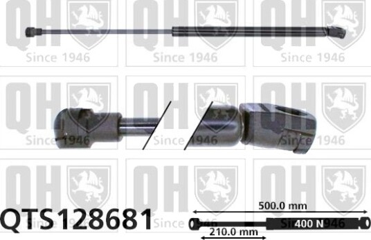 QUINTON HAZELL QTS128681 Baklukedemper