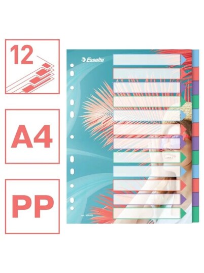 Esselte Colour'Breeze A4 Indices 12 Tabs PP
