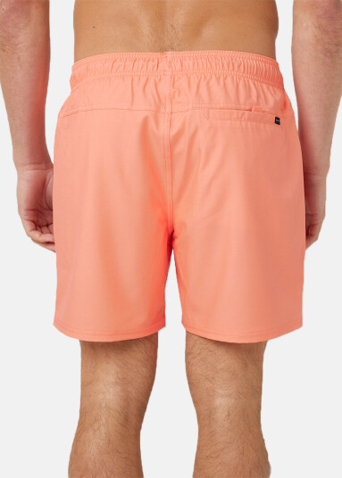 Rip Curl DAILY VOLLEY Rip Curl DAILY VOLLEY