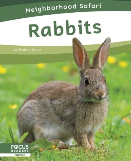 Rabbits Rabbits