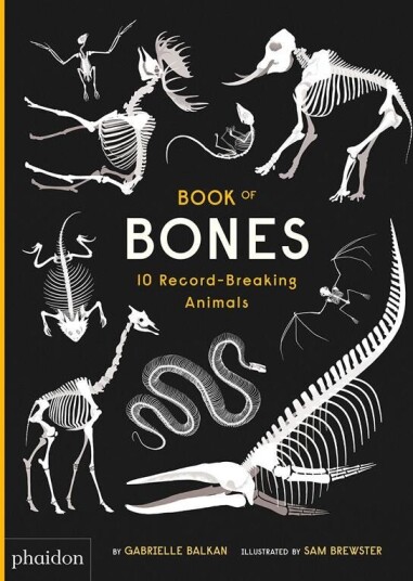 Book Of Bones Av Gabrielle Balkan