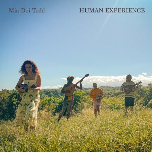 Human Experience Vinyl