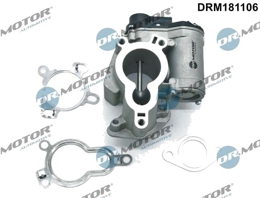 DR.MOTOR AUTOMOTIVE DRM181106 EGR-ventil