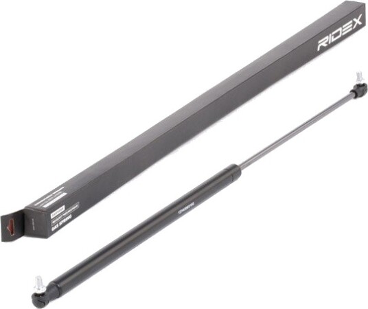 RIDEX 219G0706 Baklukedemper