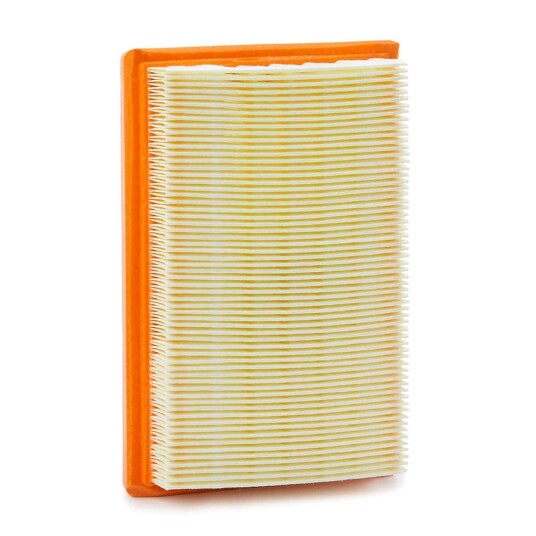 Luftfilter PURFLUX A1613 Luftfilter PURFLUX A1613