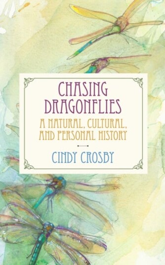 Chasing Dragonflies Av Cindy Crosby