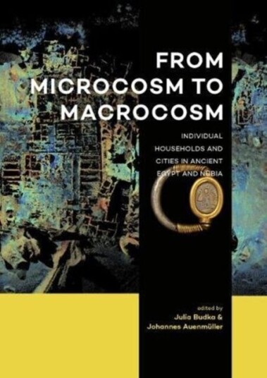 From Microcosm to Macrocosm av Julia Budka, Johannes Auenmuller
