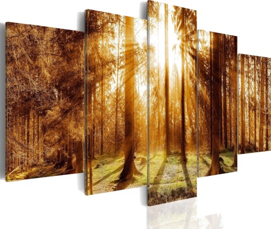 Bilde Forest Illumination 100x50 Artgeist sp. z o. o.