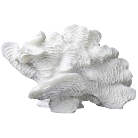 Coral fan Dekorasjon 13 x 24 x 16 cm Hvit Coral fan Dekorasjon 13 x 24 x 16 cm Hvit