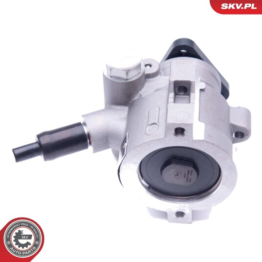 Servopumpe ESEN SKV 10SKV258