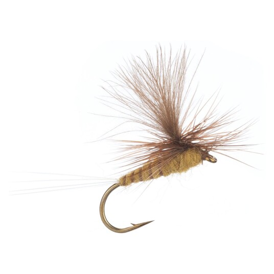 Arcticflies Tørrflue Marginata