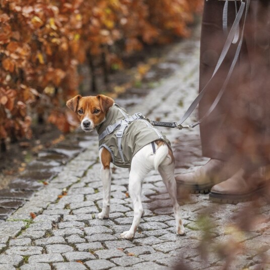 Trixie Pontis Rain regnjakke med integrert sele for hund 40-44 x 24 cm Olivengrønn