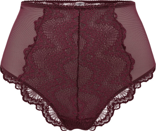 Understatement Underwear Lace Mesh Highwaist Briefs Burgundy M
