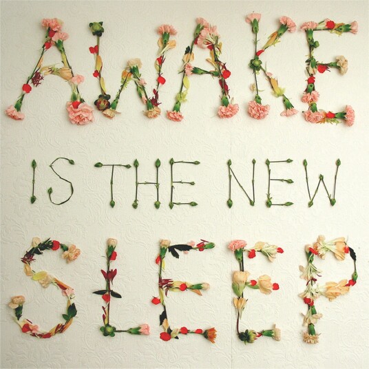Ben Lee Awake Is The New Sleep 10th Ann.Ed. LP/Vinyl Ben Lee Awake Is The New Sleep 10th Ann.Ed. LP/Vinyl