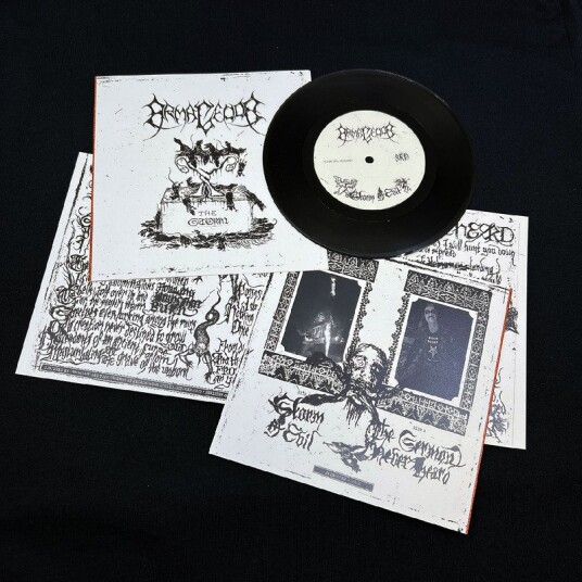 Armagedda The Storm Vinyl