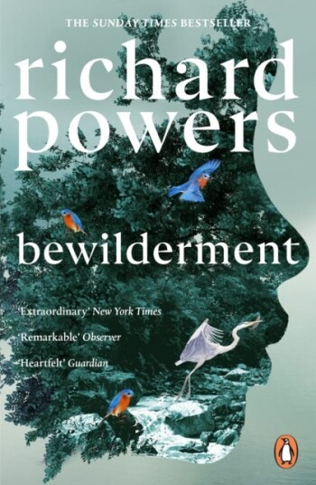 Bewilderment Bewilderment