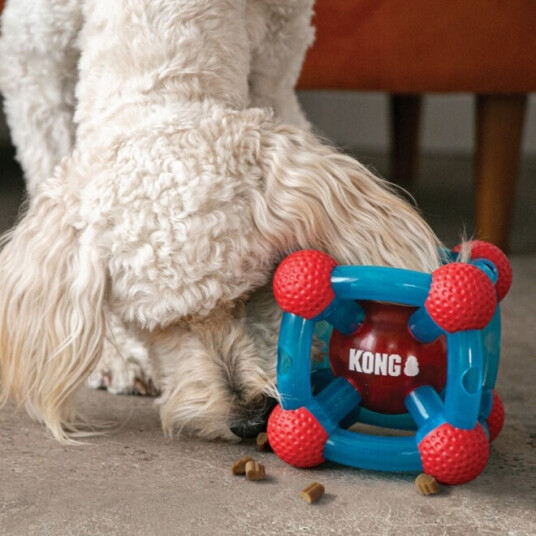Kong Rewards Tinker M/L Kong Rewards Tinker M/L