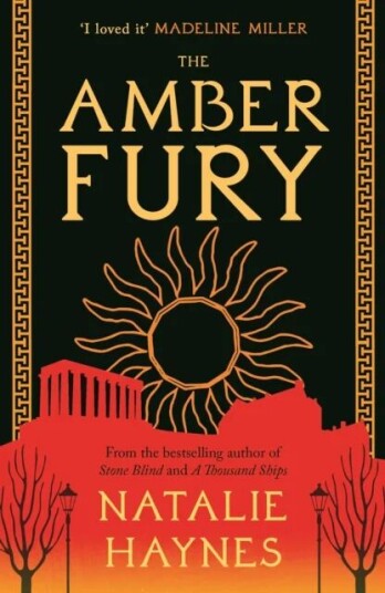 The Amber Fury Av Natalie (Writer / Broadcaster) Haynes