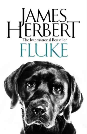 Fluke Av James Herbert