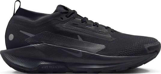 Nike Pegasus Trail 5 GTX Herre Black/Black/Anthracite 44.5