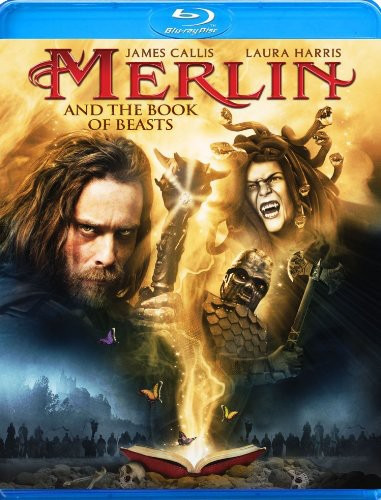 Merlin & The Book Of Beast Bluray