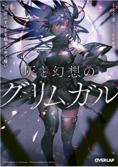 Grimgar Of Fantasy And Ash (Light Novel) Vol. 19 Av Ao Jyumonji