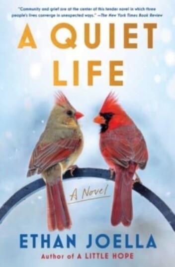 A Quiet Life Av Ethan Joella