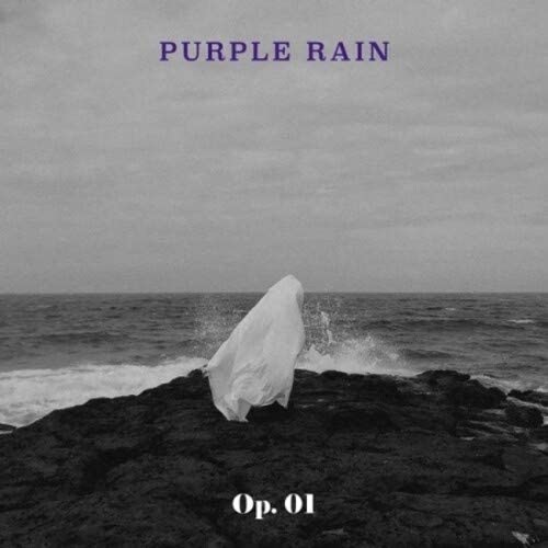 Purple Rain Op. 01 (Incl. Booklet) CD Purple Rain Op. 01 (Incl. Booklet) CD