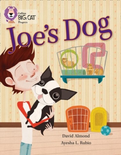 Joe'S Dog Av David Almond