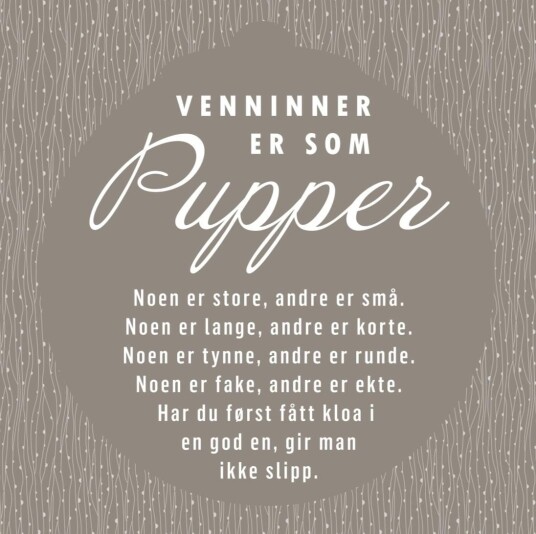 Serviett lunsj 20 stk Pupper venninne