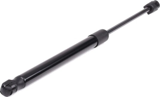 RIDEX 219G0419 Baklukedemper