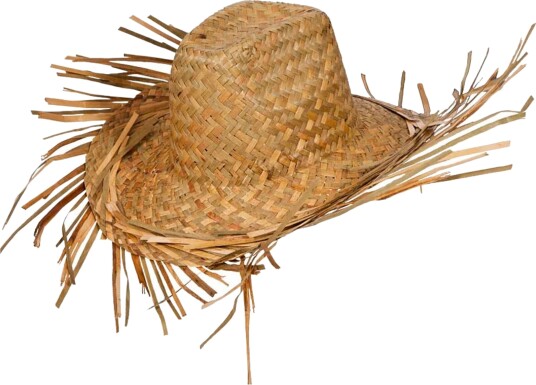 Catsson Stråhatt Hawaii One size PK04295