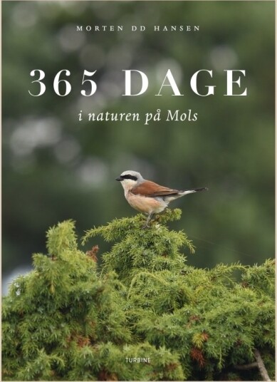 365 Dager I Naturen På Mols | Morten Dd Hansen | Språk: Dansk
