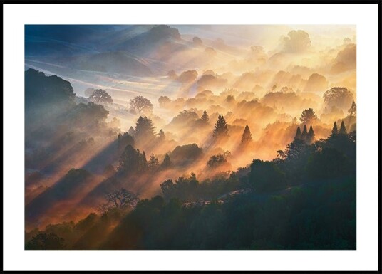 Morning Light Poster Plakat / 40x50cm