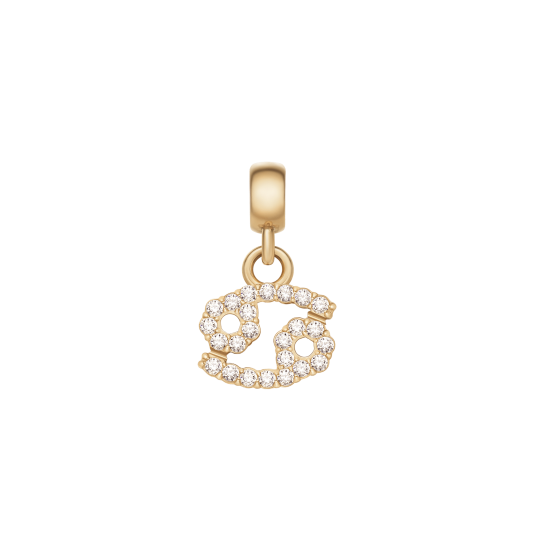 Daniel Wellington DW Charm Zodiac Gold Daniel Wellington DW Charm Zodiac Gold
