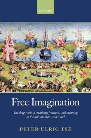 Free Imagination The deep roots of creativity, freedom and meaning in the human brain and mind
