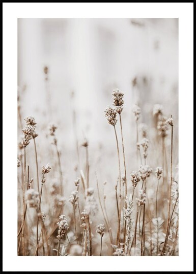 Autumn Dried Flowers Plakat Plakat / 100x150cm Autumn Dried Flowers Plakat Plakat / 100x150cm