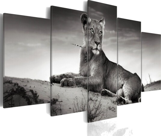 Bilde Lioness In A Desert 100x50 Artgeist sp. z o. o.