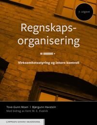 Regnskapsorganisering Av Bjørgunn Havstein, Tove-Gunn Moen