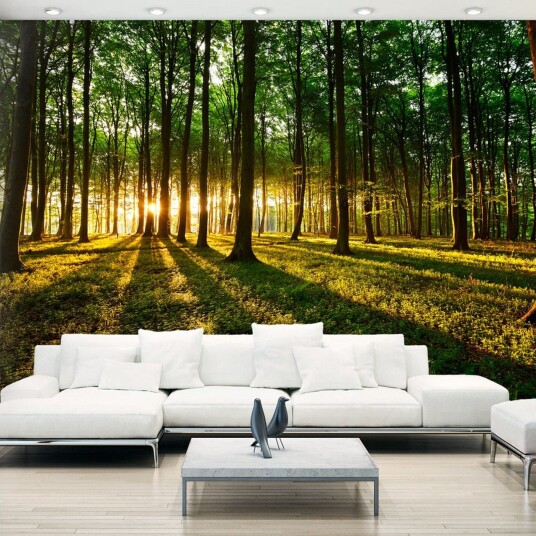 Fototapet Mystical Morning 100x70 - Artgeist sp. z o. o.