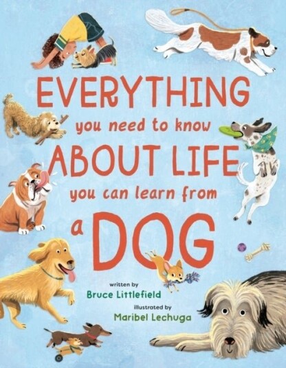 Everything You Need to Know About Life You Can Learn from a Dog Everything You Need to Know About Life You Can Learn from a Dog