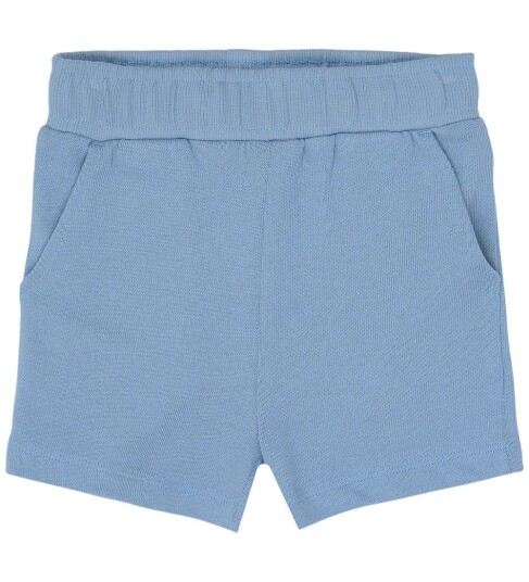The New Tnststeward Shorts Blue 98