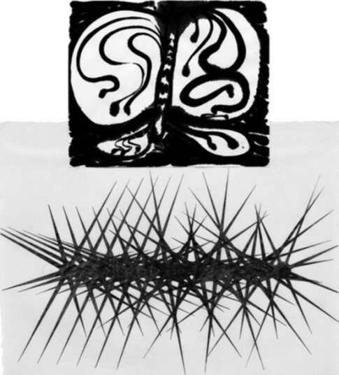 Halos Of Perception