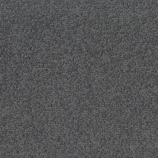 Teppeflis   DESSO Palatino   A072 6502