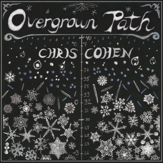 Chris Cohen Overgrown Path CD