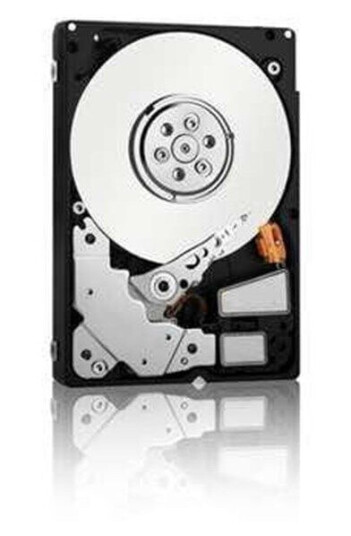 Fujitsu Business Critical - hårddisk - 2 Harddisk - 250 GB - 2.5" - 7200 rpm - SATA-600 - cache