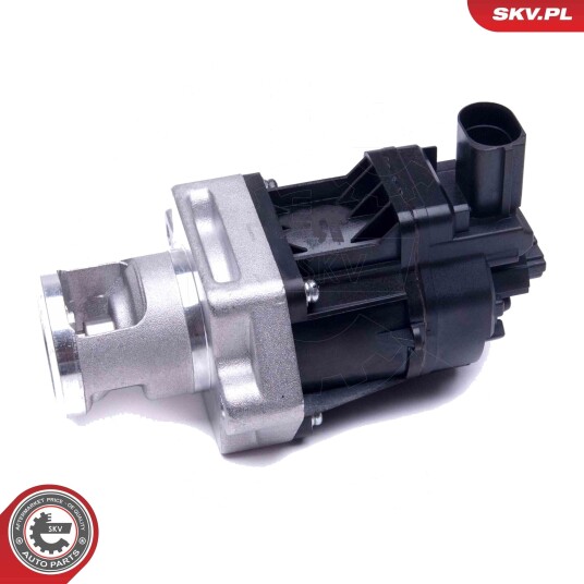 EGR-ventil ESEN SKV 14SKV217