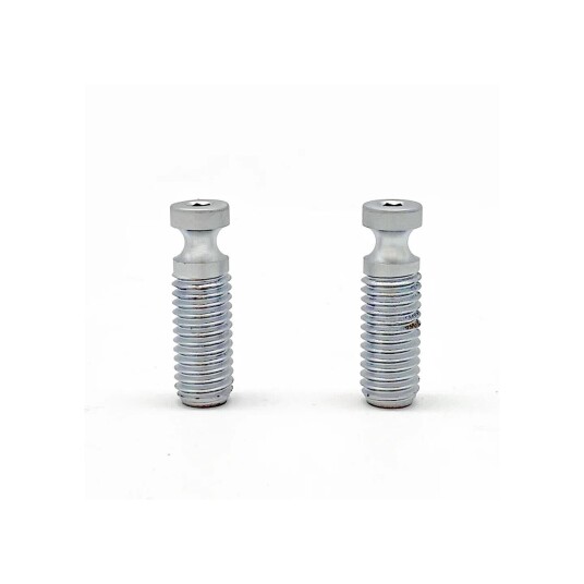 Floyd Rose Frx Bridge Mounting Stud Metric (2 Pcs), Satin Chrome
